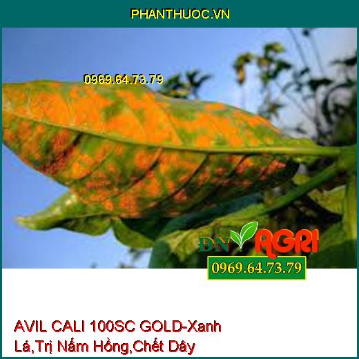 AVIL CALI 100SC GOLD-Nhanh Chống Phục Hôi Cây, Xanh Lá, Trị Nấm Hồng, Chết Dây