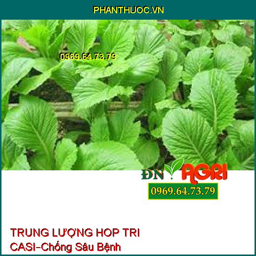 PHÂN BÓN LÁ TRUNG LƯỢNG HOP TRI CASI –Chống Sâu Bệnh, Ngăn Ngừa Sượng, Nám Trái