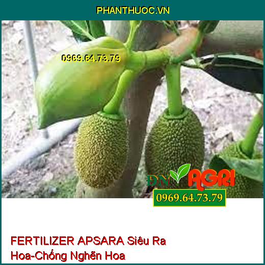 FERTILIZER APSARA Siêu Ra Hoa-Chống Tình Trạng Nghẽn Hoa, Bông Mập Đều