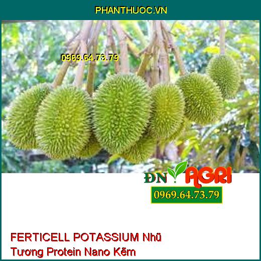 FERTICELL POTASSIUM Nhũ Tương Protein Nano Kẽm-Phục Hồi Đất, Kích Kháng Nấm Bệnh