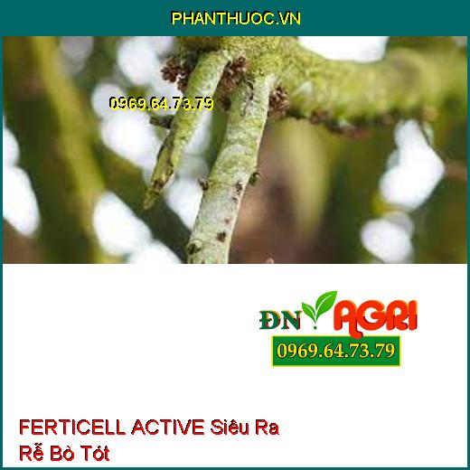 FERTICELL ACTIVE Siêu Ra Rễ Bò Tót-Kích Thích Hạt Nảy Mầm, Cứng Cây, Chống Ngã