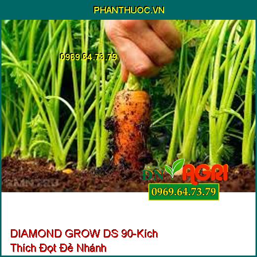 DIAMOND GROW DS 90-Kích Thích Đọt Đẻ Nhánh, Phát Triển, Nở Bụi, Lá Xanh