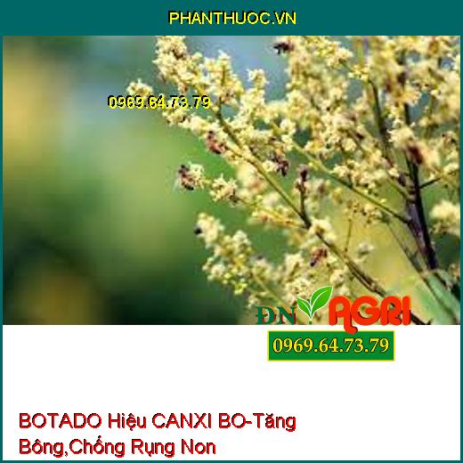 BOTADO Hiệu CANXI BO-Tăng Bông, Chống Rụng Non, Hạn Chế Nấm Bệnh