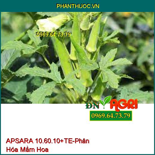 APSARA 10.60.10+TE-Phân Hóa Mầm Hoa Mạnh, Siêu Hoa Ra Đồng Loạt, Cây Cứng Cáp