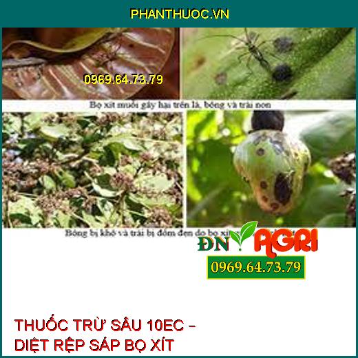 THUỐC TRỪ SÂU 10EC – DIỆT RỆP SÁP BỌ XÍT