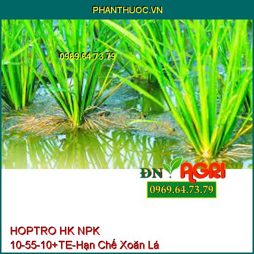 HOPTRO HK NPK 10-55-10+TE-Hạn Chế Xoăn Lá Non, Chống Đén Cây