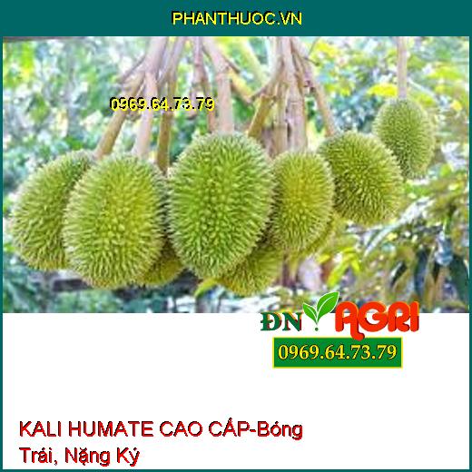 KALI HUMATE CAO CẤP-Rễ Phát Triển, Bóng Trái, Nặng Ký, Giải Độc Hữu Cơ Cực Mạnh