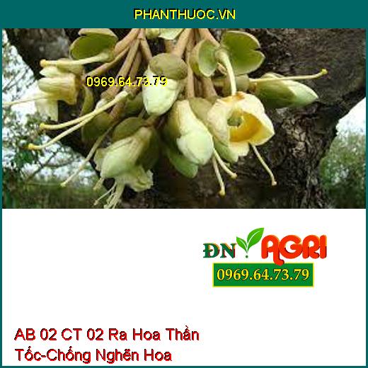 AB 02 CT 02 Ra Hoa Thần Tốc-Chống Nghẽn Hoa, Tăng Khả Năng Thụ Phấn