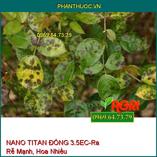 NANO TITAN ĐỒNG 3.5EC-Ra Rễ Mạnh, Ra Hoa Nhiều, Dễ Ra Hoa Đậu Trái