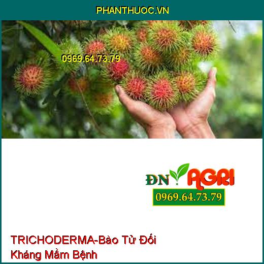 TRICHODERMA-Bào Tử Đối Kháng Mầm Bệnh, Cung Cấp Vi Sinh Vật, Phát Triển Rễ