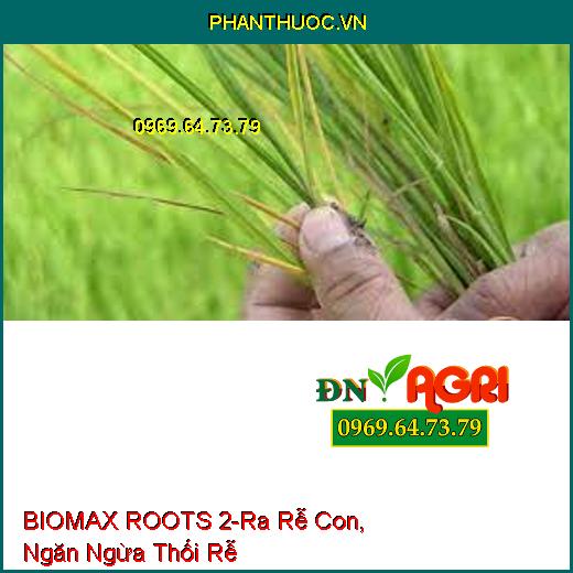 BIOMAX ROOTS 2-Tăng Khả Năng Ra Rễ Con, Ngăn Ngừa Thối Rễ, Phục Hồi Nhanh