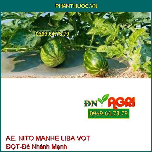 AE. NITO MANHE LIBA VỌT ĐỌT-Đẻ Nhánh Mạnh, Bung Tược, Phát Triển Thân, Lá