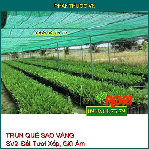 PHÂN HỮU CƠ TRÙN QUẾ SAO VÀNG SV2 –Dùng Cho Hoa Kiểng, Đất Tươi Xốp, Giữ Ẩm