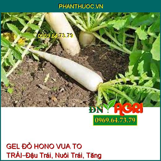 GEL ĐỎ HONO VUA TO TRÁI –Đậu Trái, Nuôi Trái, Tăng Độ Ngọt, Bóng Trái