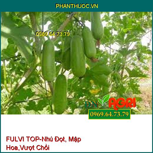 FULVI TOP-Nhú Đọt, Mập Hoa, Vượt Chồi, Phục Hồi Sau Khi Thu Hoạch