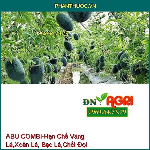 ABU COMBI-Hạn Chế Vàng Lá, Xoăn Lá, Bạc Lá, Chết Đọt Non, Phục Hồi Cây Nhanh