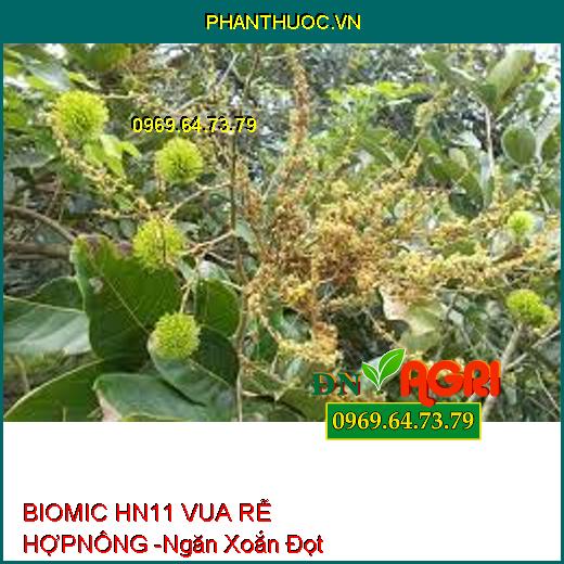 BIOMIC HN11 VUA RỄ HỢP NÔNG -Mát Bông, Rễ Khỏe, Ngăn Xoắn Đọt, Nứt Thân, Xì Mủ