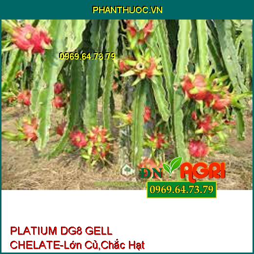 PLATIUM DG8 GELL CHELATE-Siêu Lớn Củ, Cứng Dây, Chắc Hạt, Chín Sớm