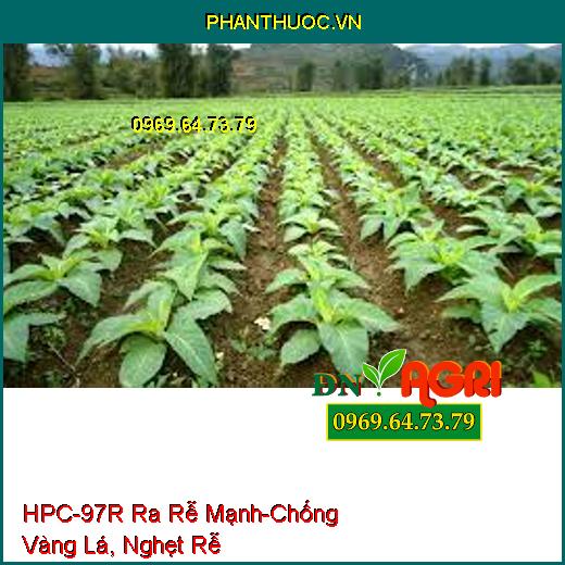 HPC-97R Ra Rễ Cực Mạnh-Chống Vàng Lá, Nghẹt Rễ, Dùng Giâm, Chiết Cành, Ra Rễ