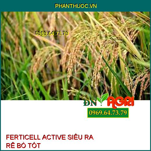 FERTICELL ACTIVE SIÊU RA RỄ BÒ TÓT –Tăng Trưởng Nhanh, Năng Suất, Ngừa Thối Rễ