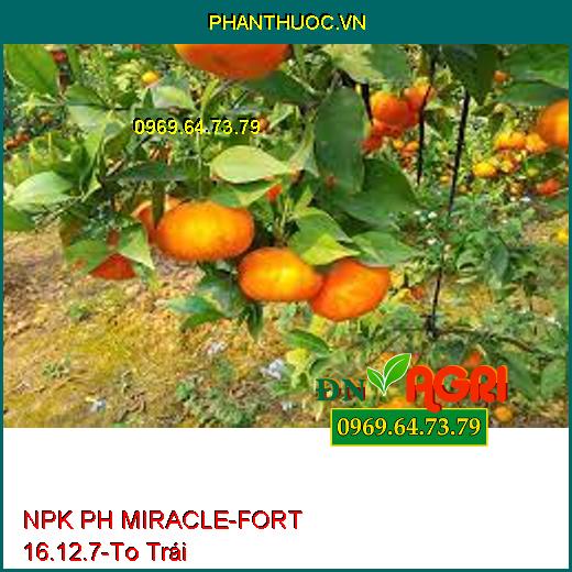 NPK PH MIRACLE-FORT 16.12.7-Ngăn Nghẽn Đòng, To Trái, Chắc Cuốn, Chống Rụng Trái