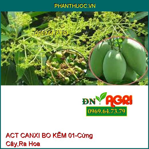 ACT CANXI BO KẼM 01-Cứng Cây,Ra Hoa