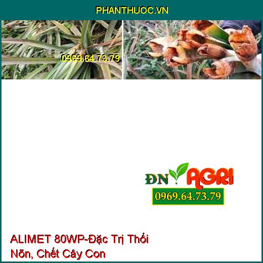 ALIMET 80WP-Đặc Trị Thối Nõn, Chết Cây Con