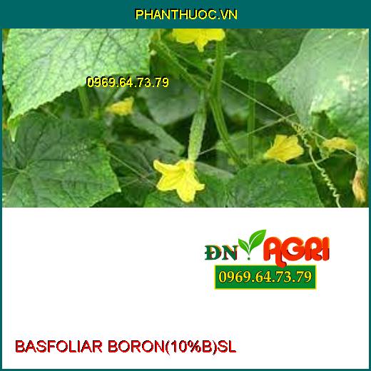 BASFOLIAR BORON (10%B) SL –Ra Hoa Đều, Hạn Chế Rụng Trái Non, Tăng Đậu Qủa