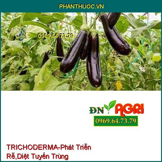 TRICHODERMA-Đối Kháng Mầm Bệnh, Phát Triễn Rễ, Cải Tạo Đất, Diệt Tuyến Trùng