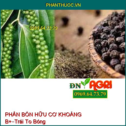 PHÂN BÓN HỮU CƠ KHOÁNG B+ –Trái To Bóng Đẹp, Chắc Nặng, Phục Hồi Rễ Nhiễm Phèn