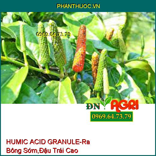 HUMIC ACID GRANULE-Ra Bông Sớm, Tỷ Lệ Đậu Trái Cao, Chống Rụng Trái, Nứt Trái