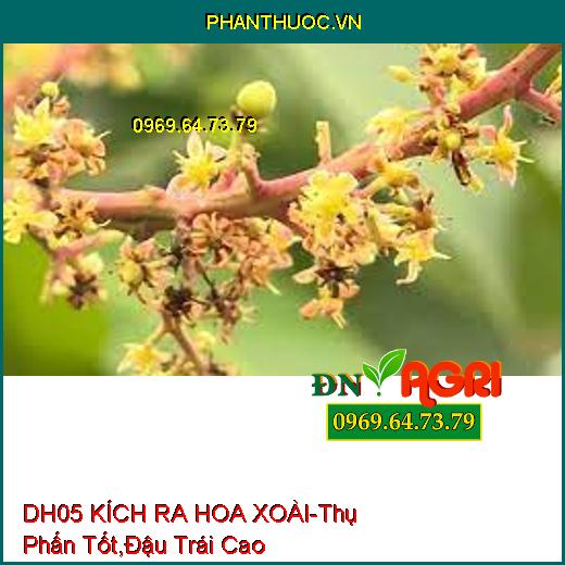 DH05 KÍCH RA HOA XOÀI-Thụ Phấn Tốt, Đậu Trái Cao, Hạn Chế Cách Niên, An Toàn