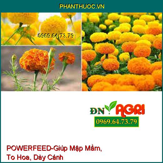 POWERFEED-Giúp Mập Mầm, To Hoa, Dày Cánh Dùng Cho Hoa Cảnh