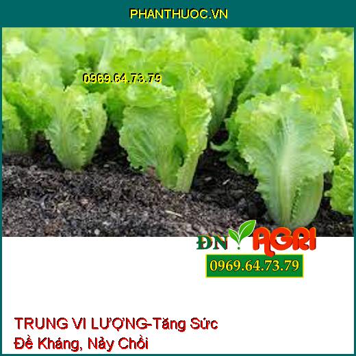 TRUNG VI LƯỢNG-Tăng Sức Đề Kháng, Nảy Chồi, Thối Rễ Mùa Mưa, Chuyển Hóa Đạm Lân