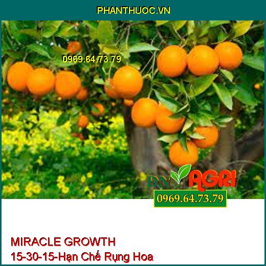 MIRACLE GROWTH 15-30-15-Hạn Chế Rụng Hoa, Siêu Ra Rễ, Đâm Chồi, Đẻ Nhánh