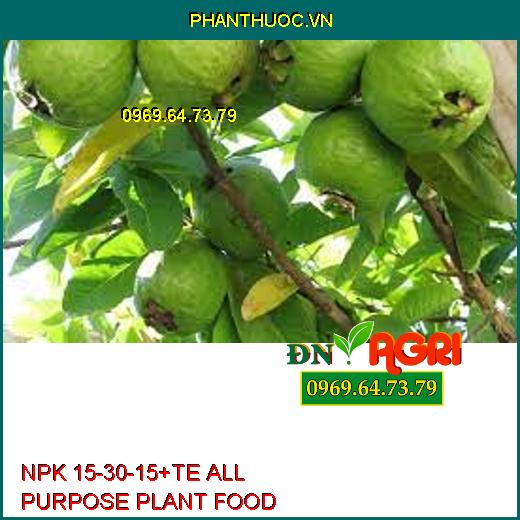 NPK 15-30-15+TE ALL PURPOSE PLANT FOOD-Đâm Chồi Đẻ Nhánh, Chống Rụng Hoa, Trái