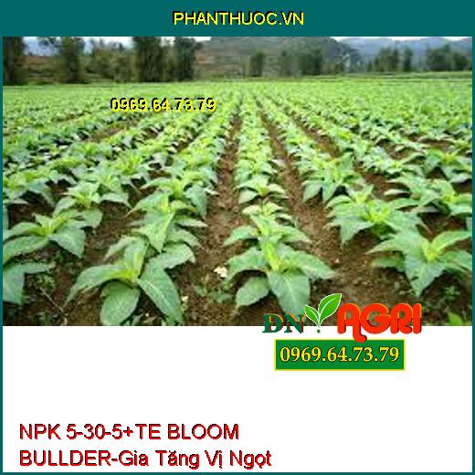 NPK 5-30-5+TE BLOOM BULLDER-Phân Hóa Mầm Hoa, Gia Tăng Vị Ngọt, Phẩm Chất