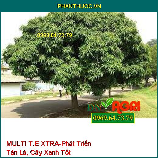 MULTI T.E XTRA-Phát Triển Tán Lá, Cây Xanh Tốt, Tăng Quang Hợp