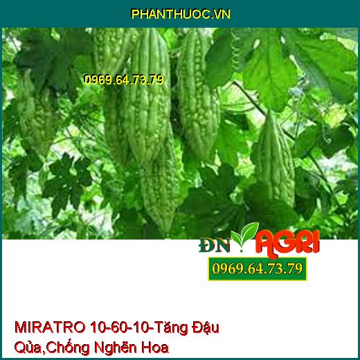 MIRATRO 10-60-10-Tăng Đậu Qủa, Hạ Phèn, Chống Nghẽn Hoa, Rễ Phát Triễn Nhanh