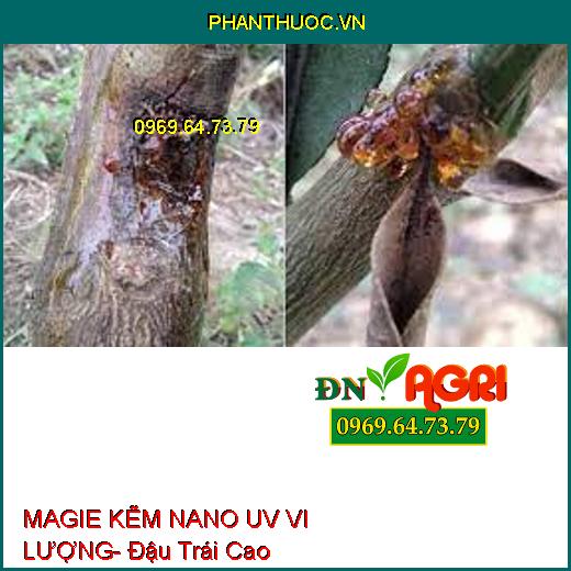 MAGIE KẼM NANO UV VI LƯỢNG- Đậu Trái Cao, Hạn Chế Rụng Trái, Nứt Thân, Xì Mủ