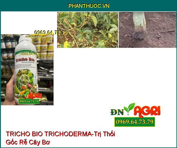 BIO SACOTEC TRICHO BIO TRICHODERMA NẤM ĐỐI KHÁNG-Xử Lý Rôm Rạ, Ủ Phân Chuồng