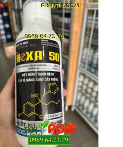 MEKONGVIL 5SC HEXA 50- Đặc Trị Lem Lép Hạt, Khô Vằn, Rỉ Sắt, Đốm Nâu, Đốm Lá, Đốm Đen