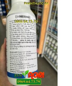 MEKONGVIL 5SC HEXA 50- Đặc Trị Lem Lép Hạt, Khô Vằn, Rỉ Sắt, Đốm Nâu, Đốm Lá, Đốm Đen