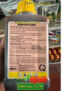 PARAQUAT GOLD – Thuốc Diệt Cỏ Cháy Nhanh, Cháy Sâu, Cháy Tận Gốc