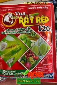 BUCCAS 120WP VUA RẦY RỆP 120- Đặc Trị Các Loại Rầy, Bọ Xít Muỗi, Rệp Sáp