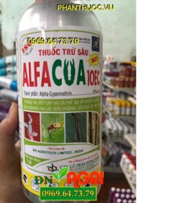 ALFACUA 10EC – Phòng Trị Rệp Sáp Bọ Xít – Muỗi Và Sâu Đục