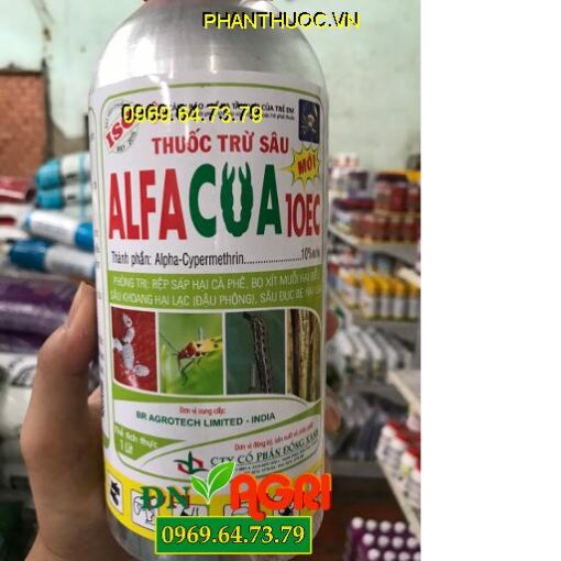 ALFACUA 10EC – Phòng Trị Rệp Sáp Bọ Xít – Muỗi Và Sâu Đục