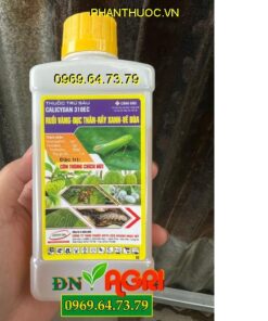 CALICYDAN 310EC – Đặc Trị Côn Trùng Hút Chít, Nhện Gié, Rệp Sáp, Bọ Trĩ, Ruồi Vàng