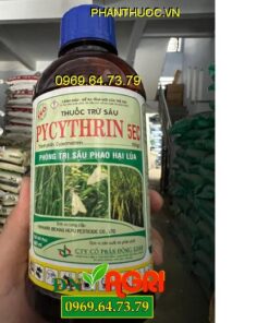 THUỐC TRỪ SÂU PYCYTHRIN 5EC – ĐẶC TRỊ CÁC LOẠI SÂU HẠI CÂY TRỒNG