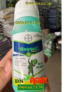 REGENT 5SC – ĐẶC TRỊ SÂU CUỐN LÁ CHO CÂY TRỒNG